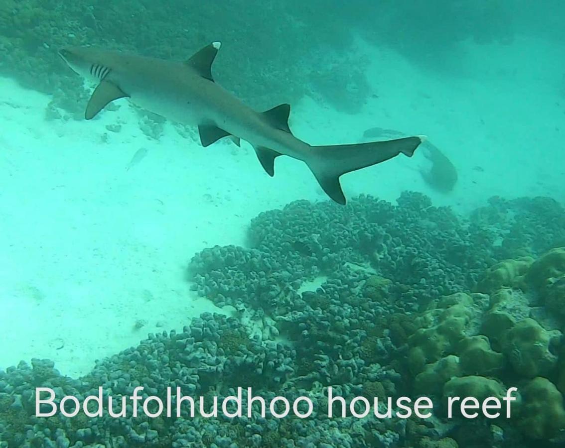 Hotel Surfretreat Bodufolhudhoo Exterior foto