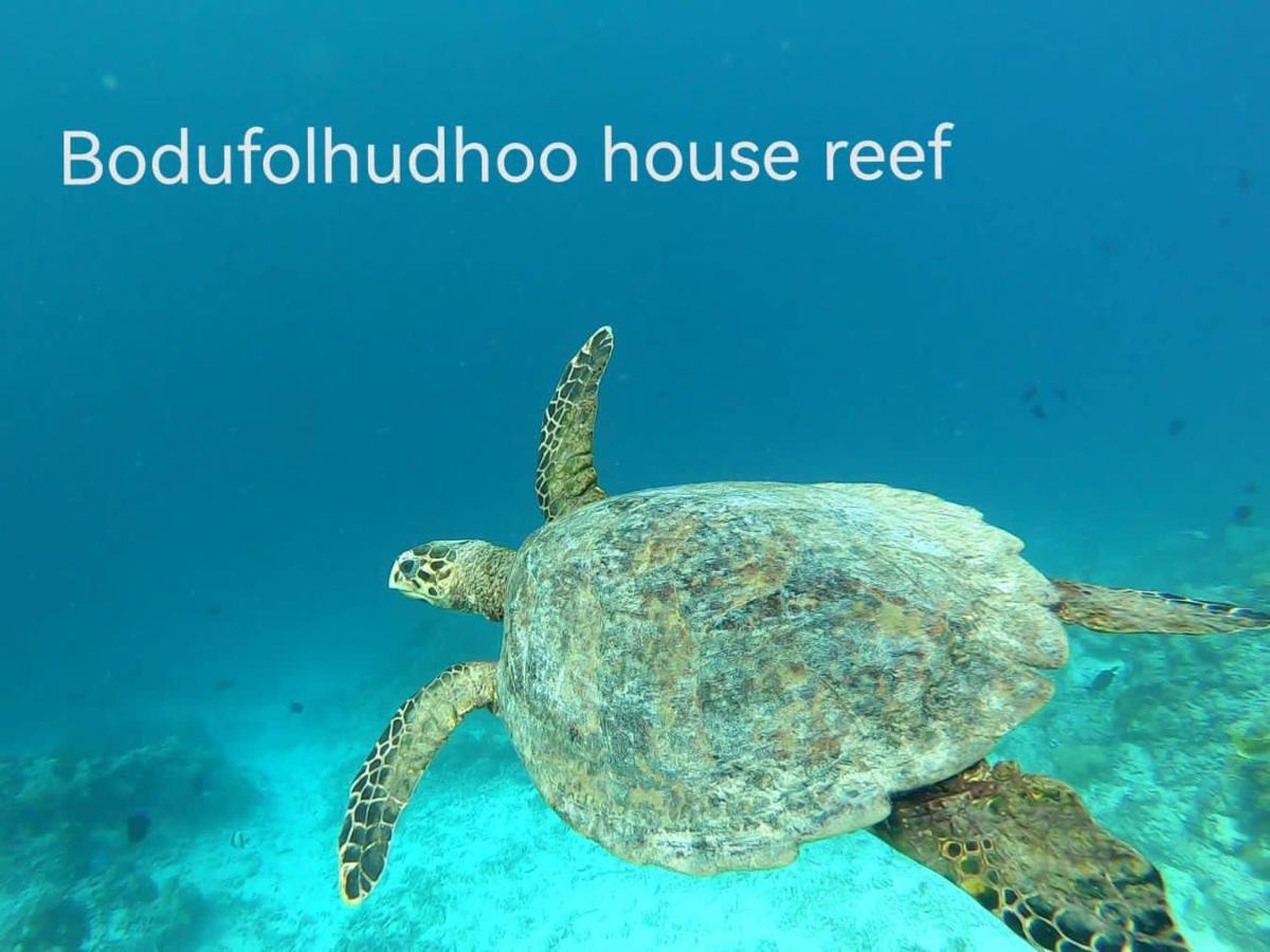 Hotel Surfretreat Bodufolhudhoo Exterior foto